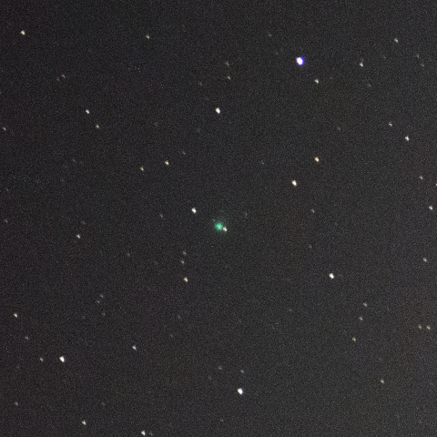 11月15日マックホルツ・藤川・岩本彗星（C/2018 V1）