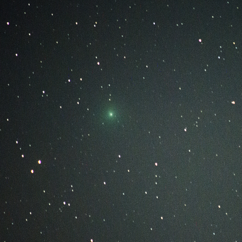 11月15日ウィルタネン彗星（46P）