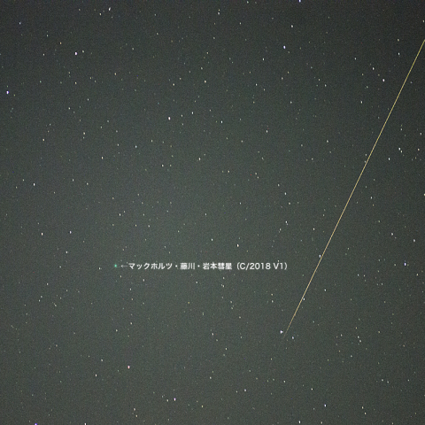 11月16日流星とマックホルツ・藤川・岩本彗星（C/2018 V1）