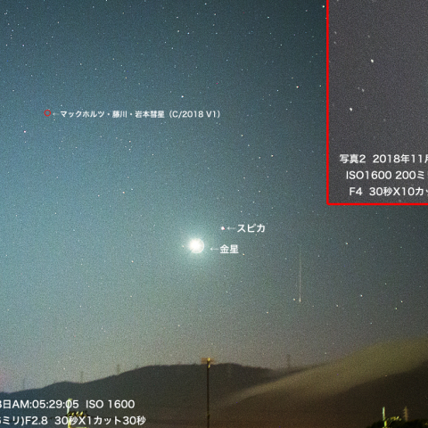 11月18日しし座流星群・マックホルツ・藤川・岩本彗星（C/2018 V1）・金星とスピカの接近