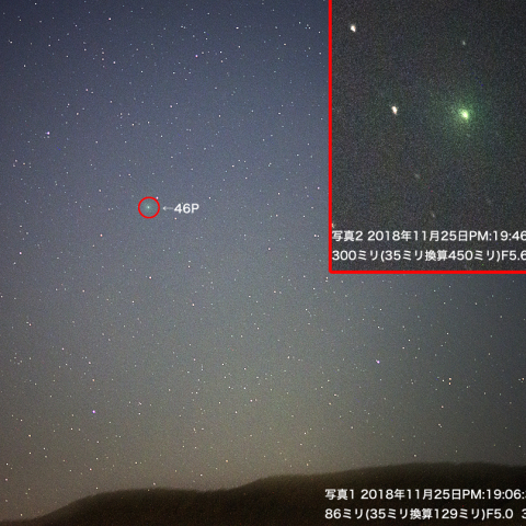 11月25日ウィルタネン彗星（46P）
