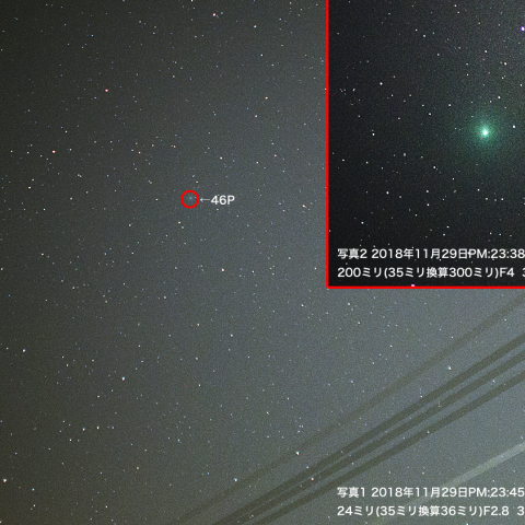 11月29日ウィルタネン彗星（46P）