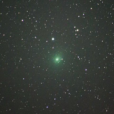 1月10日ウィルタネン彗星（46P）