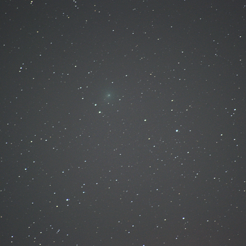 1月14日ウィルタネン彗星（46P）