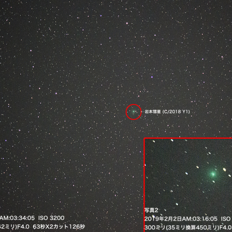 平成31年2月2日の岩本彗星 (C/2018 Y1)