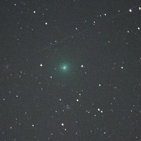 2月5日岩本彗星 (C/2018 Y1)