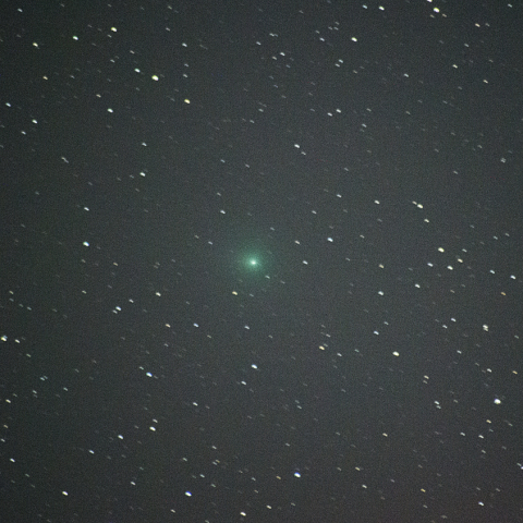 2月15日岩本彗星 (C/2018 Y1)