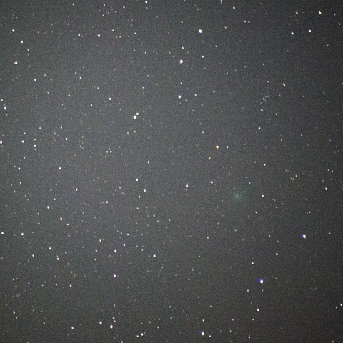 3月8日岩本彗星 (C/2018 Y1)