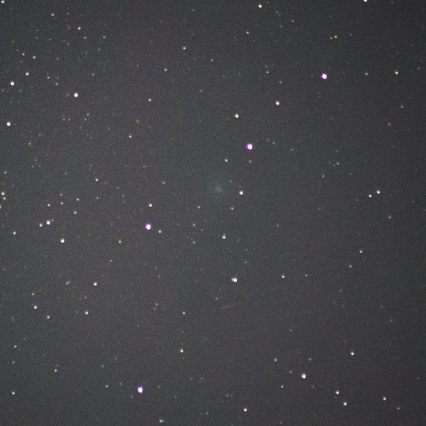 3月9日岩本彗星 (C/2018 Y1)