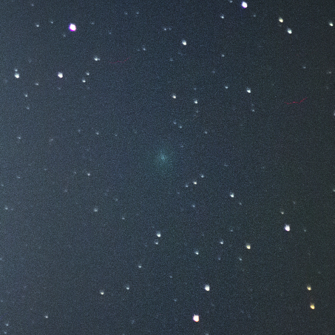 3月11日岩本彗星 (C/2018 Y1)