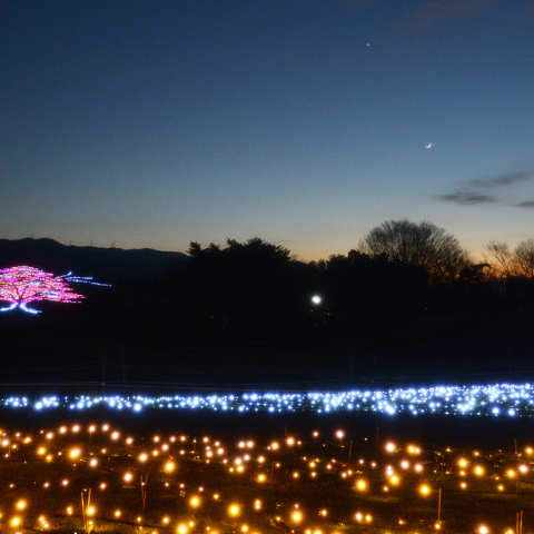12月28日月と金星