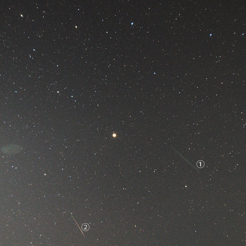 特集 年 ペルセウス座流星群 天体写真ギャラリー