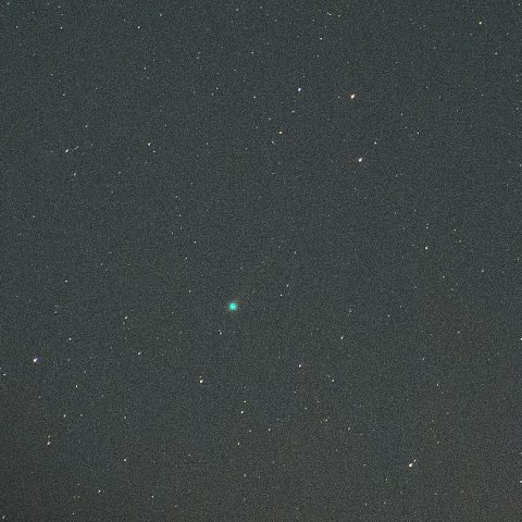 11月18日 偶然写っていたエラスムス彗星 (C/2020 S3)