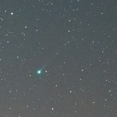 11月19日 エラスムス彗星 (C/2020 S3)