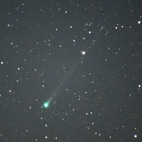 11月22日 エラスムス彗星 (C/2020 S3)