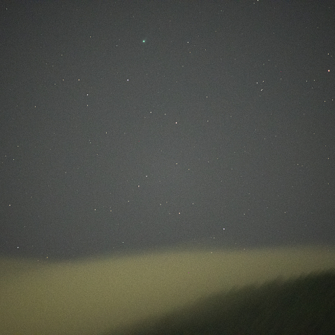 11月25日 エラスムス彗星 (C/2020 S3)