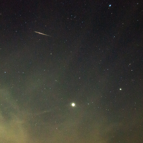 7月30日やぎ座α流星群