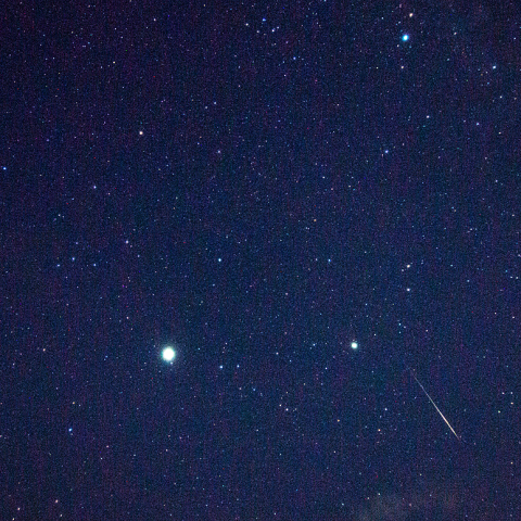 8月3日やぎ座α流星群