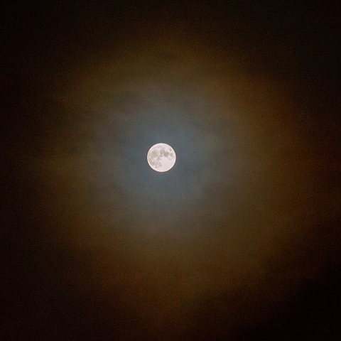 9月21日中秋の名月