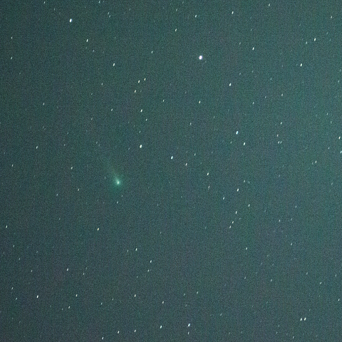 11月29日三脚固定撮影でも写るレナード彗星