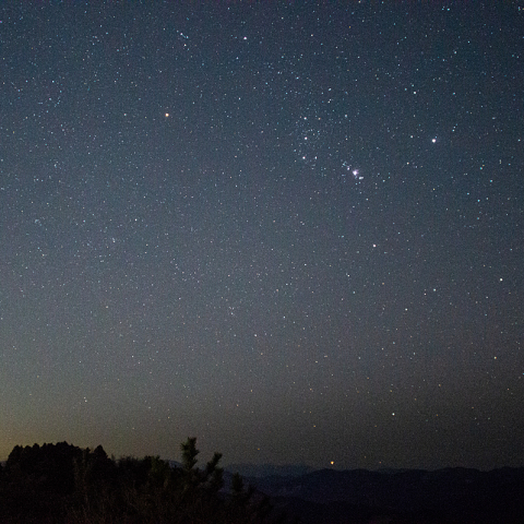 1月3日翠波高原西峰頂上から見た冬の大三角とオリオン座