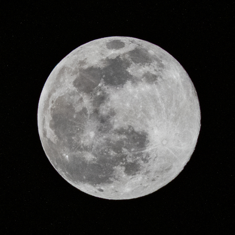 3月7日コンパクトカメラで撮るワームムーン