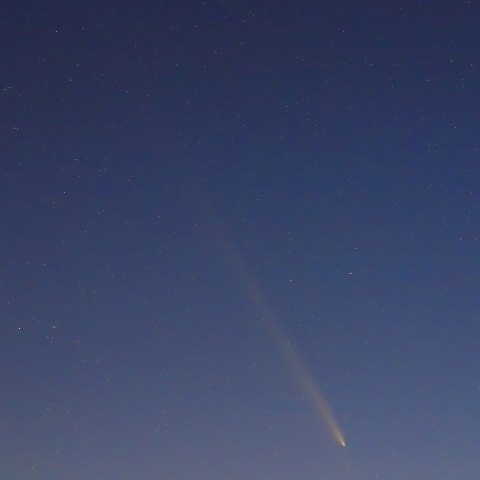 紫金山・アトラス彗星（C/2023 A3）