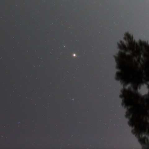 カタリナ彗星とアークトゥルス