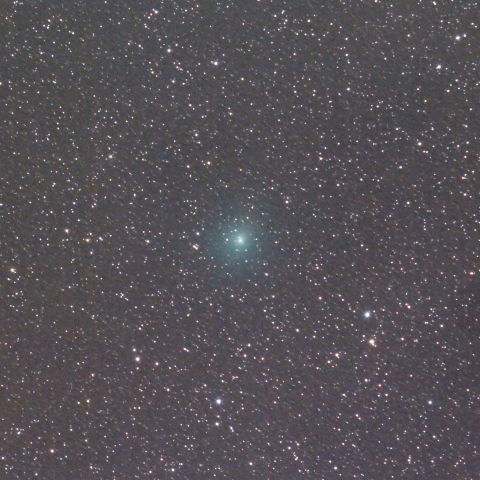 タットル・ジャコビニ・クレサーク彗星 (41P)