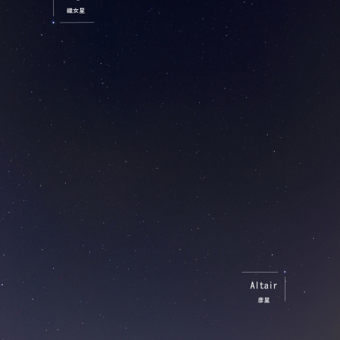 牽牛と織姫、七夕の夜