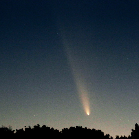 20241013 紫金山・アトラス彗星