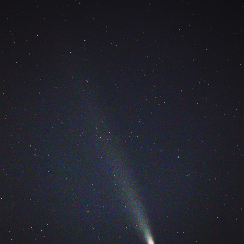 20241020_2 紫金山・アトラス彗星