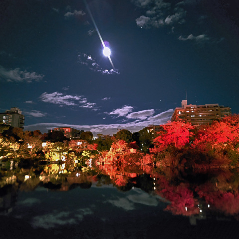 Cold Moonと紅葉の水鏡