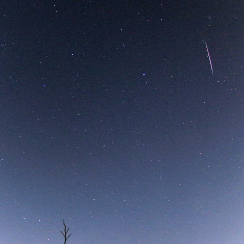 20250105 しぶんぎ座流星群①