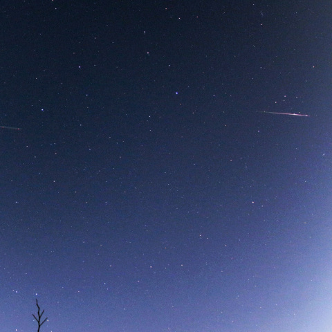 20250105 しぶんぎ座流星群の夜の散在流星