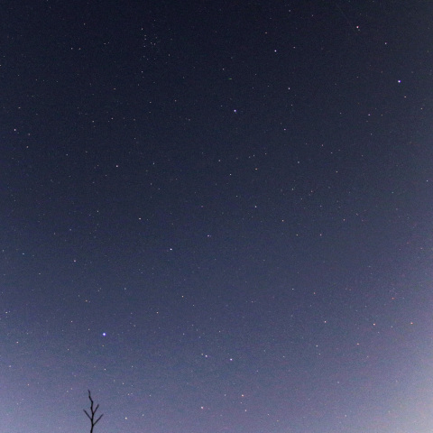 20250105 しぶんぎ座流星群②