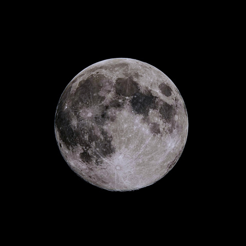 Wolf Moon（月齢13.7）