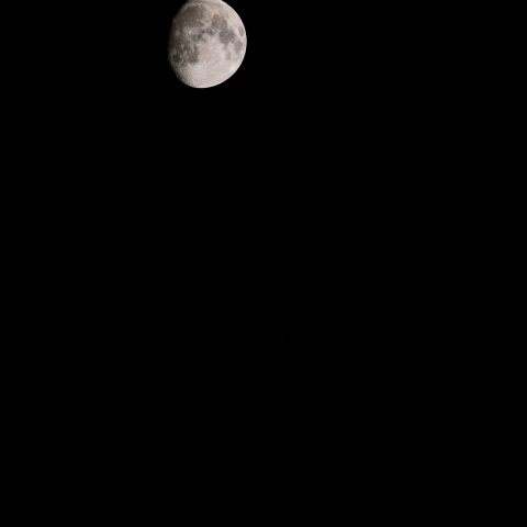 20251102 十三夜の月と土星