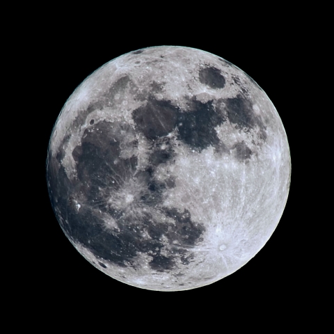 20260501 月齢14.0