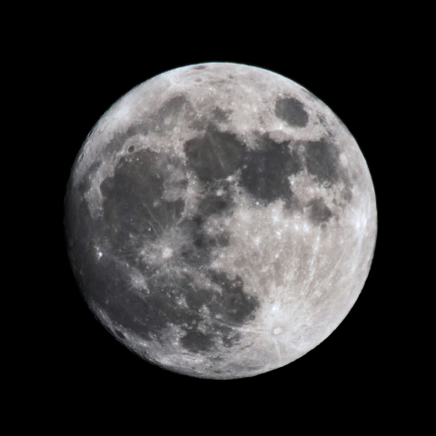 20260530 月齢13.6