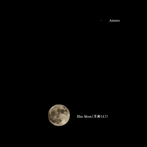 Blue Moonとアンタレス
