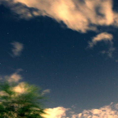 2015年 ペルセウス座流星群