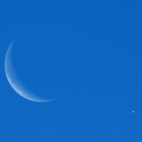 20190102 月に寄り添う金星