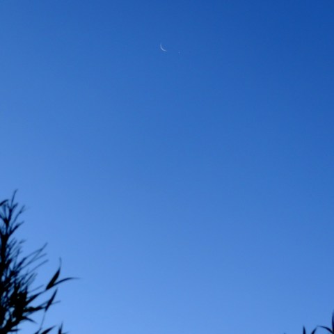 20190102 月と金星のある風景