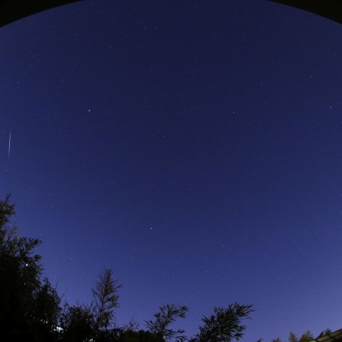 20190104 しぶんぎ座流星群（その2）