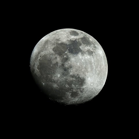 20190119 月齢13から14へ