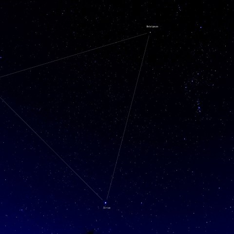 20190126 冬の大三角形