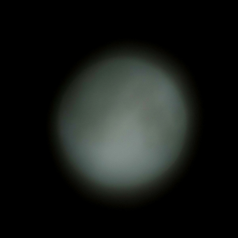 20190519 月齢13.7（令和最初の満月）