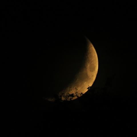 沈みゆく月（月齢4.4）