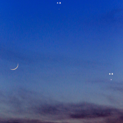 細い月と金星、水星が作るトライアングル